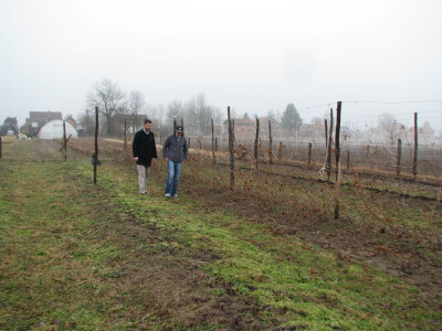 Ulfet i Muhamed Ulfet i Muhamed