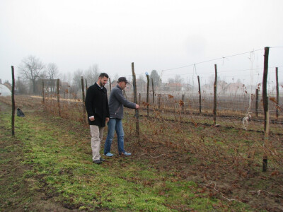 Ulfet i Muhamed razgledaju malinjak Ulfet i Muhamed razgledaju malinjak