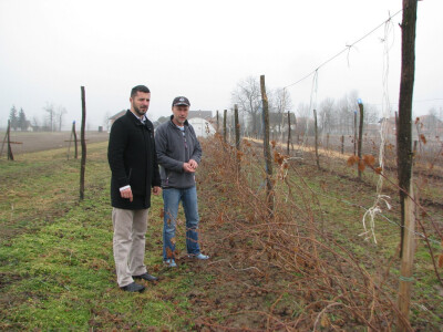 Ulfet i Muhamed Ulfet i Muhamed