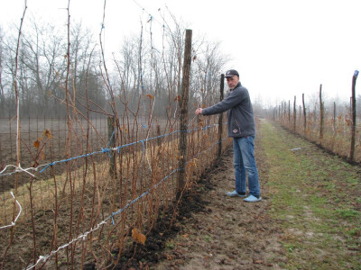 Muhamed u malinjaku Muhamed u malinjaku