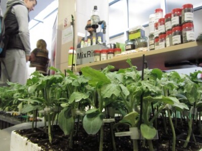 XVI Savetovanje povrtara