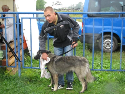 Damjan vodi brigu o svojoj ljubimici