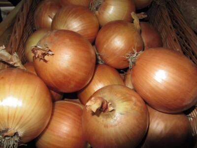 XVI Savetovanje povrtara