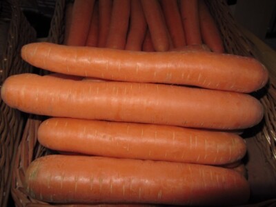 XVI Savetovanje povrtara