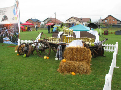 pehari za pobjednike