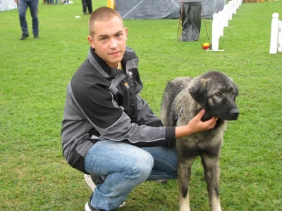 Damjan Ciganović