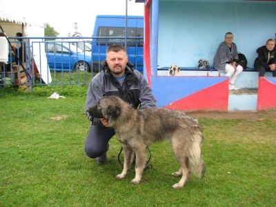 Duško Kuzmanović