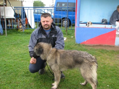 Duško Kuzmanović