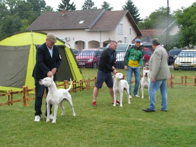 Takmičenje