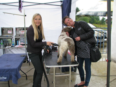 Njegovanje ljubimaca