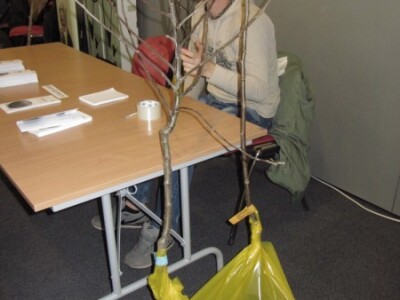 Savetovanje voćara 2015. Savetovanje voćara 2015.