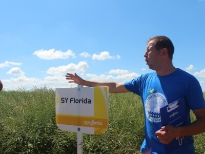 Centralni dan polja Syngente!