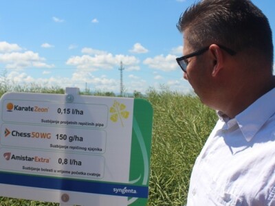 Centralni dan polja Syngente!