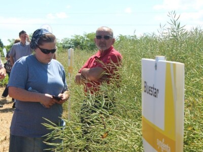 Centralni dan polja Syngente!
