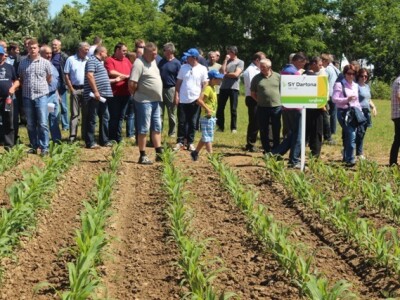 Centralni dan polja Syngente!