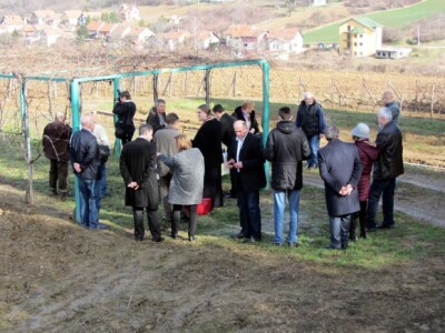 Proslavljen sveti Trifun