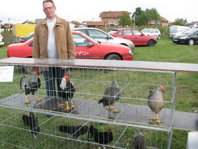 Tomislav pored svog matičnog jata