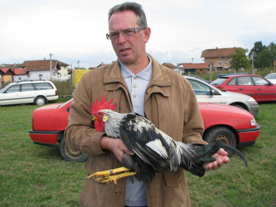 Romislav pokazuje šampiona