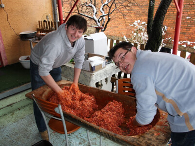 Pripreme za vetovačko Vincelovo