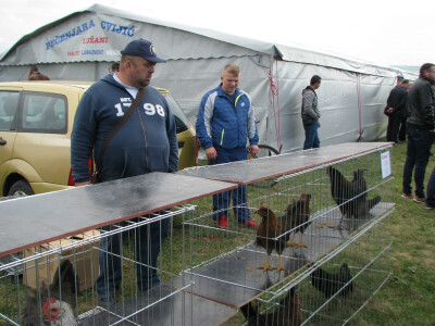 Zoran sa sinom Vukom