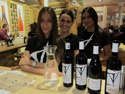 Štand vinarije &quot;Toplički vinogradi&quot;