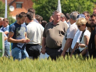 Centralni dan polja Syngente!