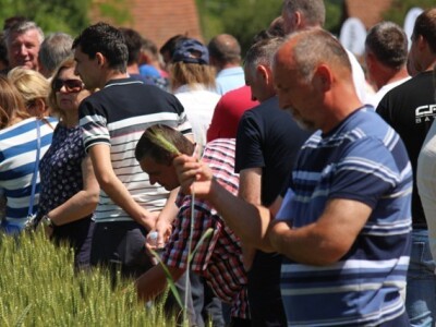 Centralni dan polja Syngente!