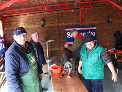 Pripreme za vetovačko Vincelovo