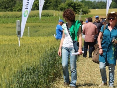 Centralni dan polja Syngente!