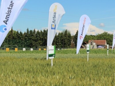 Centralni dan polja Syngente!