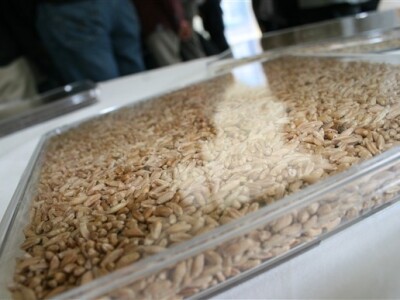 Godišnja press konferencija Bayer CropSciences