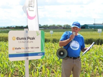 Centralni dan polja Syngente!