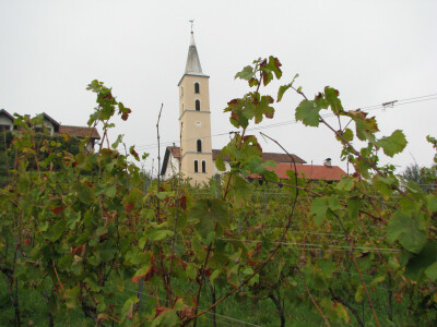 crkva-iznad-vinograda