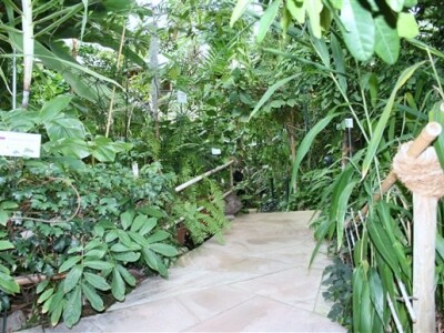 Godišnja press konferencija Bayer CropSciences