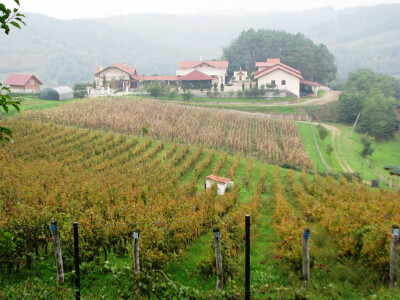 imanje-stefana-dalssoa