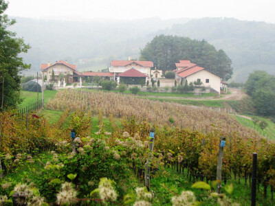 ranc-stefana-dalssoa