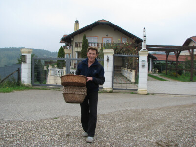 evanda-ide-po-povrce