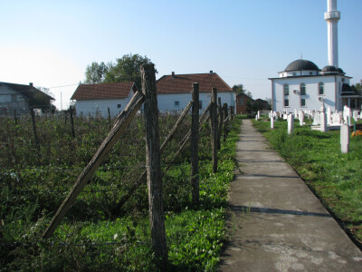 Malinjak-u-Dubravama