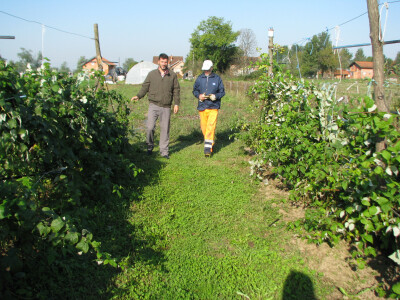 Malinari-u-malinjaku