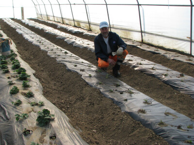 Muhamed-u-plasteniku