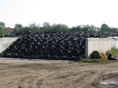 Farma-Samira-Malkoca