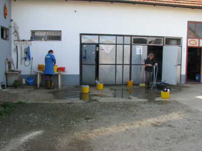 Farma-Samira-Malkoca