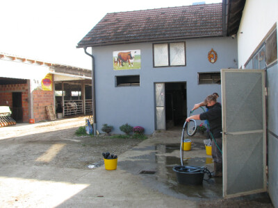 Farma-Samira-Malkoca