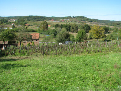 Selo-Krnete