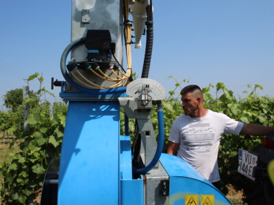 Agro-tok Vinarija Trs Ilok