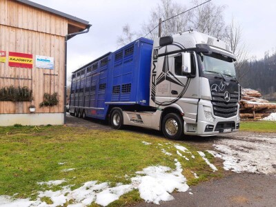 Farma škotskih visinskih goveda kod Jajca