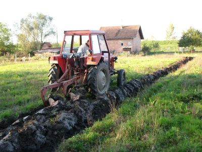 Jesenja sjetva