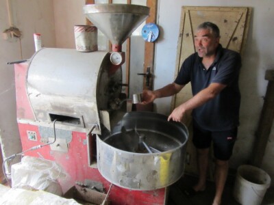 Pšenicom hrani svinje