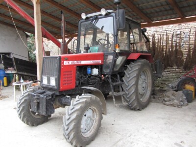 Pšenicom hrani svinje