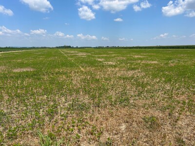 OPG Koprivanac Šljivoševci